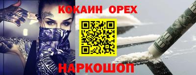 спиды Гай