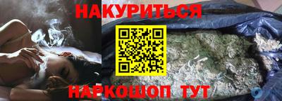 спиды Гай