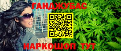 спиды Гай