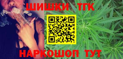 спиды Гай