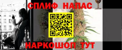 спиды Гай