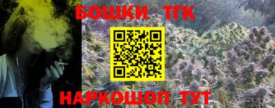 спиды Гай