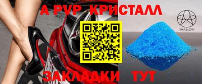 спиды Гай