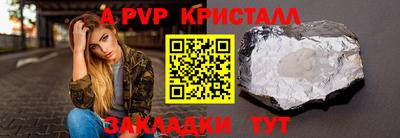 спиды Гай