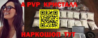 спиды Гай