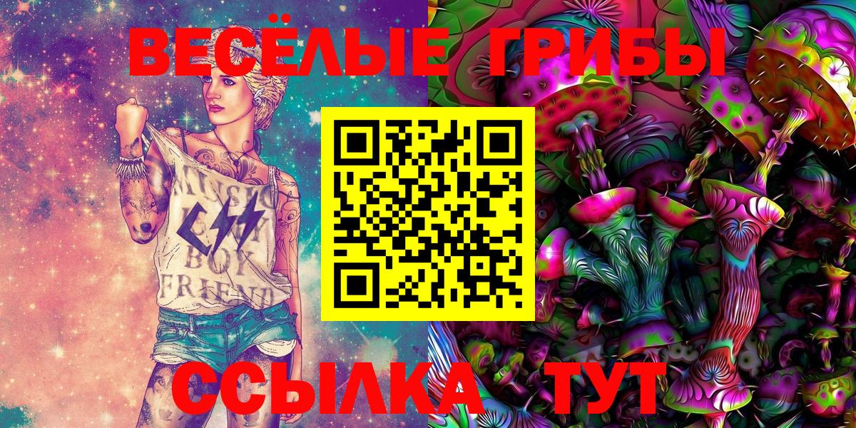 Псилоцибиновые грибы Psilocybe Гуково